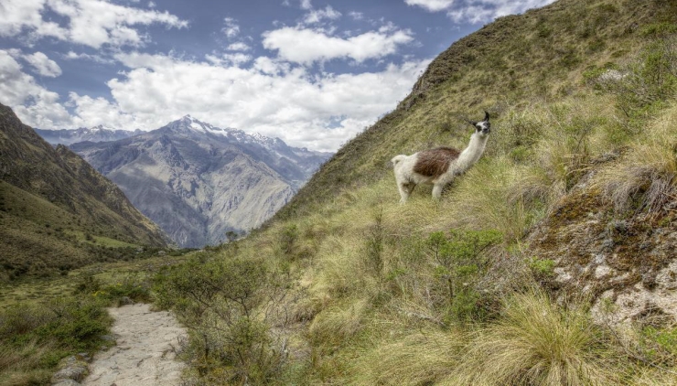 Peru: Experiencia Andina